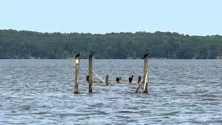 Beautiful view of beach with amazing water sounds .