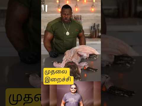 இறைச்சிக்காக முதலையை எப்படி கொல்வது?🐊🐊🐊#shortfeed #facts #tamil #trend #comedy #viralvideo #viral