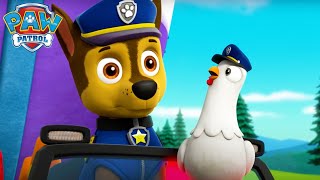 Chase and Chickaletta Switch Bodies! - PAW Patrol Episode - Cartoons for Kids