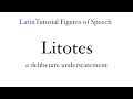 Exploring the Art of Litotes in Language