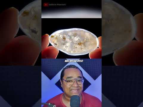 O gosto da água antiga #shorts #curiosidades #biologia #agua
