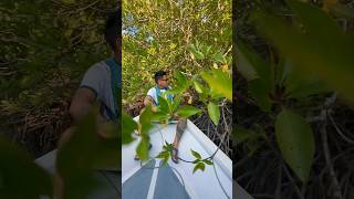 बादरलाई जुस खुवाउन गएको, झन्डै आफ्नै जुस खाइदियो 😩