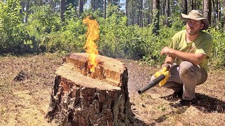 Burning a Stump - It Did NOT Go as Planned