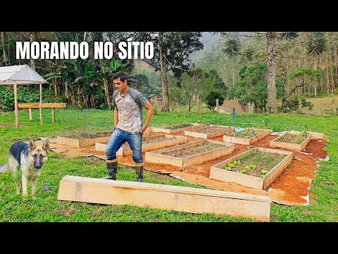 MORANDO NO SÍTIO: GALINHEIRO AÉREO, POMAR E JARDIM COM FLORES