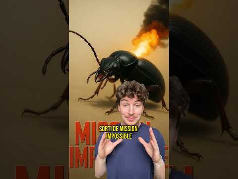 IL BRÛLE SES ENNEMIS AVEC SES FESSES 💀
