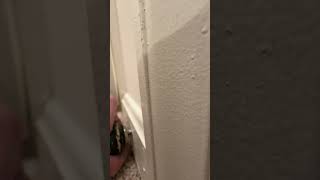 Cant find my pliers…
