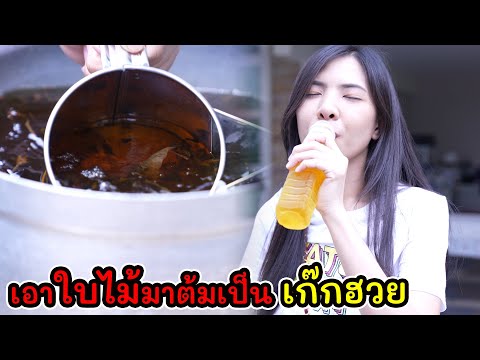 ละครสั้น ทำได้ไง เอาใบไม้มาต้มเป็นเก๊กฮวย I Lovely Kids Thailand