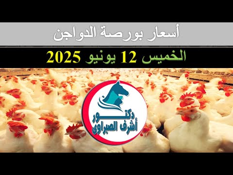 أسعار بورصة الدواجن والكتاكيت والبط والسمان | وأسعار بيض المائدة والعلف اليوم الخميس 12 / 6 / 2025