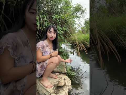 A wild duck that can understand human language