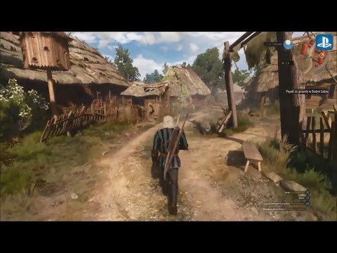 the witcher 3 free roam