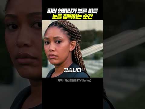 파리 한 마리가 부른 비극