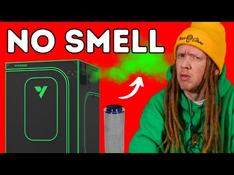 Want to Eliminate Plant Smells? Try This