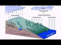 Water Cycle and Groundwater Concepts