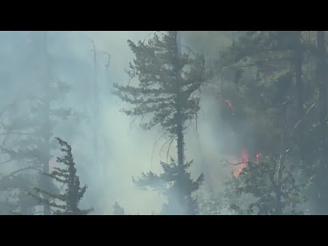 YouTube video thumbnail: State of Fema Unclear as Oregonians Reckon With Wildfire, Flood Season