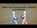 Electrolytes and Cellular Functions