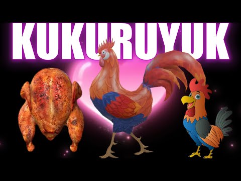 Lagu Kuku Kukuruyuk Lagu Ayam Jago Lagu Anak Balita  Ayam main bola Ayam animasi #kukuruyuk #ayam