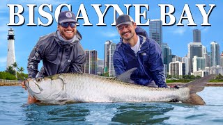 4 Days Fishing One of Florida's Most Historic Spots (Biscayne Bay)