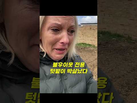불우이웃 전용 텃밭을 누군가 박살냈다