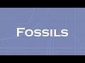 Paleontology Concepts and Fossilization
