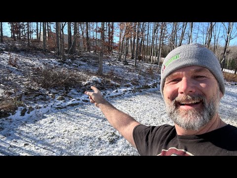 The farm is frozen! Let’s go Check the cows!