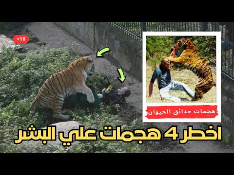 اخطر 4 هجمات من حيوانات حدائق الحيوان علي البشر | القصه الاخيره مرعبه بزاف