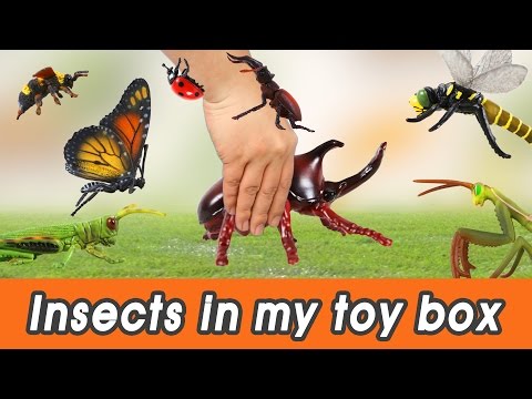 [EN] #57 Insects in my toy box! kids education, Dinosaurs animationㅣCoCosToy