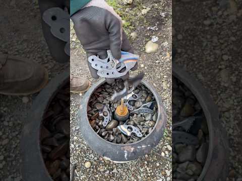 Baby sharks get eaten
