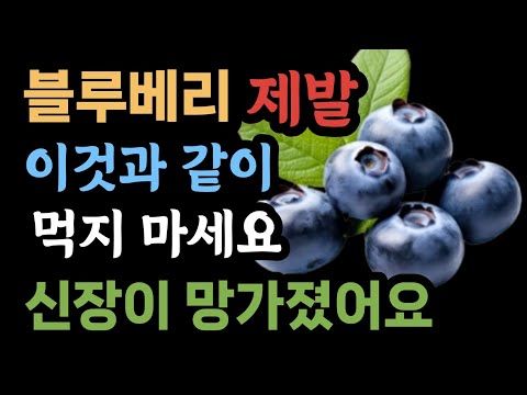 블루베리와 상극인 식품 TOP5 ,블루베리효능 ,블루베리와 궁합이 맞는 식품