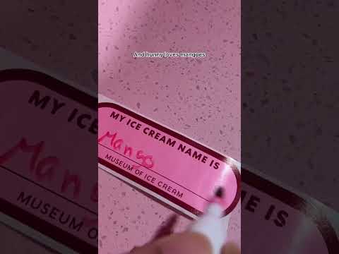 Unlimited Ice - cream for ₹3500 😱😱 | Museum Of Ice-cream Singapore Review | So Saute