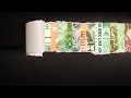 Understanding the Panama Papers