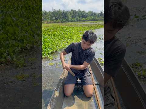 Cika Mendapatkan Belut Besar. #animals #otter #hewanpeliharaan