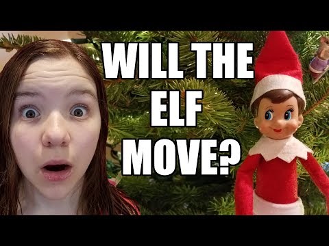 Does Elf On The Shelf Really Move? Elf Watch All Night! | Babyteeth More!