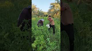 شي خلصني من البانيات لعبن بيه جوله انتم هم مثلي عندكم بانيه