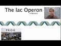 Understanding Operons