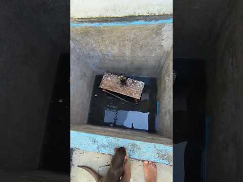 ribet banget rescue otter ini #pet #otterindonesia