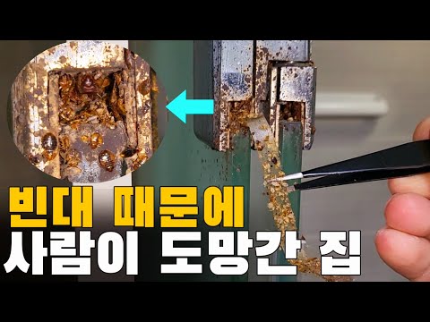 경악 스럽습니다.. 빈대 때문에 사람이 도망간 집!!!