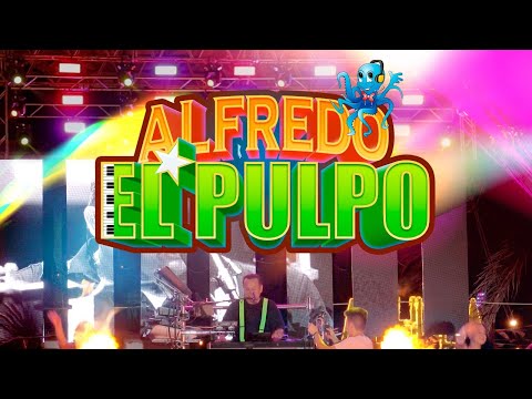Alfredo "El Pulpo" y sus teclados - Mambo 8 EN VIVO