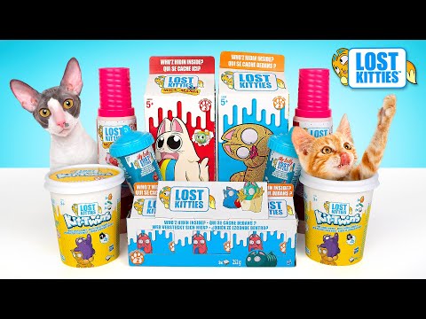 Đập Hộp Bé Mèo Đi Lạc SIÊU TO KHỔNG LỒ!