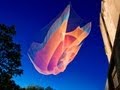 Imagination and Innovation in Sculpture