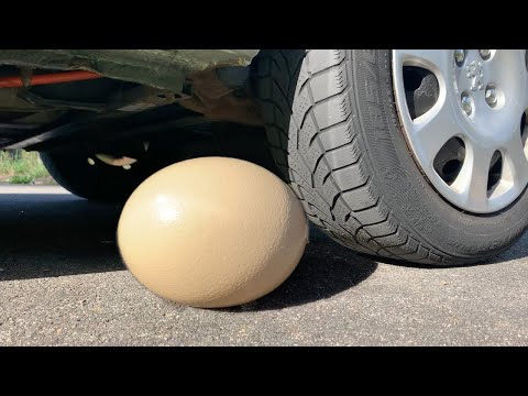 Experiment: BIG EGG, Coca Cola, Mtn Dew, Fanta, Pepsi vs Mentos vs in the Big Underground