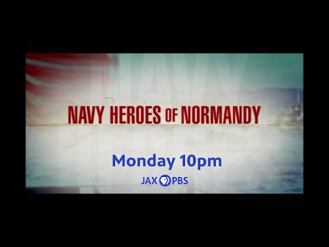Navy Heroes of Normandy