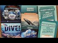 Video Lesson Structure and Features