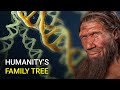 Mapping Human Genetic Relationships