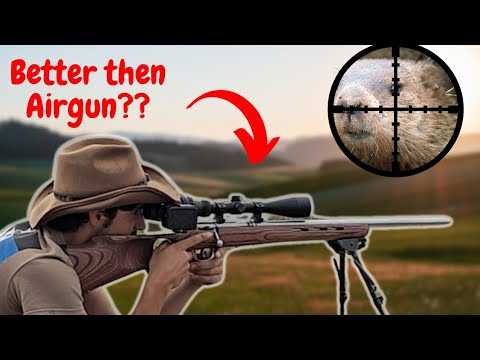 Epic (Scope Cam) 17hmr Ground Hog Hunting!