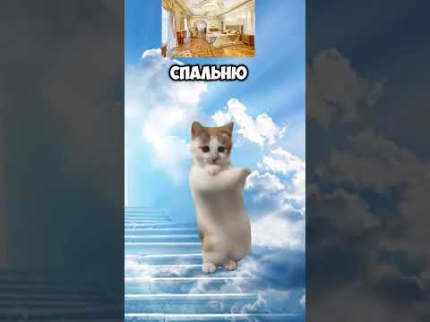 ТГ в ОПИСАНИИ канала там футажи #shortsyoutube #shortsyoutube #shortsyoutube #shortsyoutube