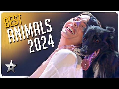 BEST Animal Auditions of Got Talent 2024!