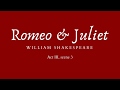 Romeo and Juliet: Key Events and Reactions