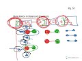 Mole Ratios in Chemical Reactions