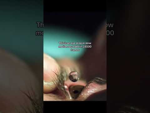 Interesting clips to watch, PART-30 #interesting #clips #science #shorts #amazing #facts #fyp