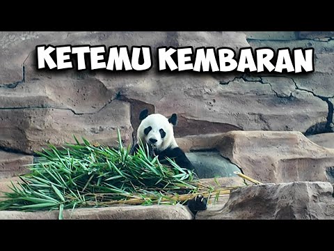 Jalan Jalan Ke Safari - Sonba Vlog #1